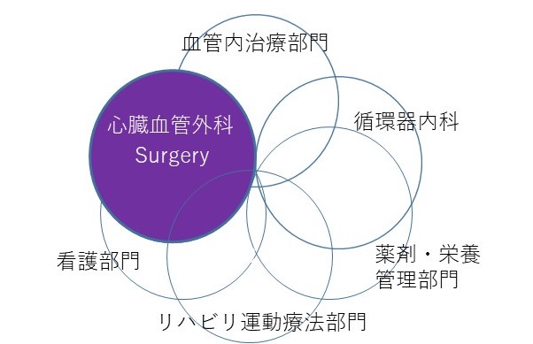 心臓血管外科